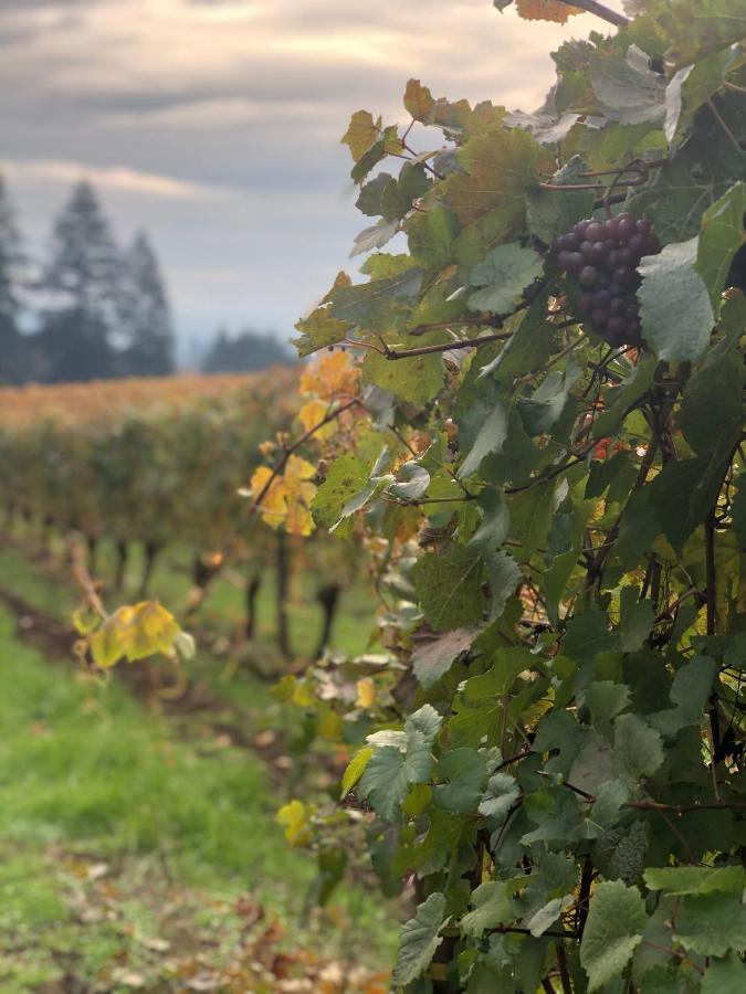 The Setting Inn Willamette Valley Newberg Esterno foto